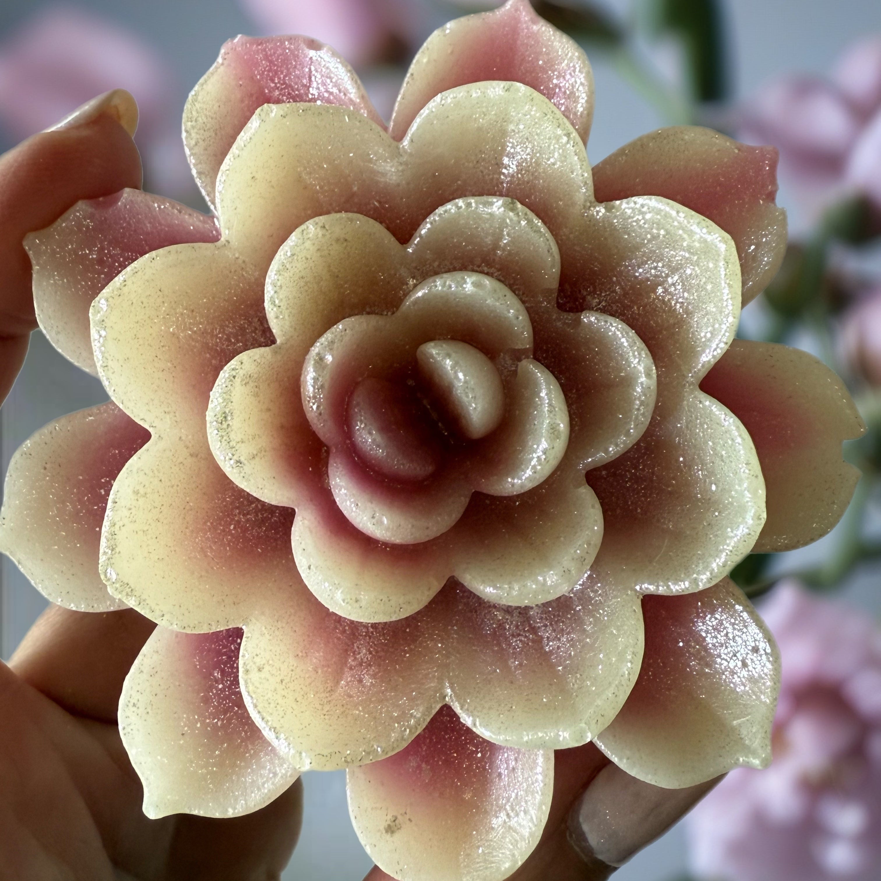 Lotus Flower Crystal Candy